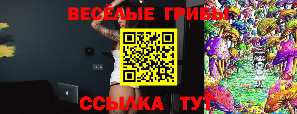 Псилоцибиновые грибы мухоморы Тимашёвск