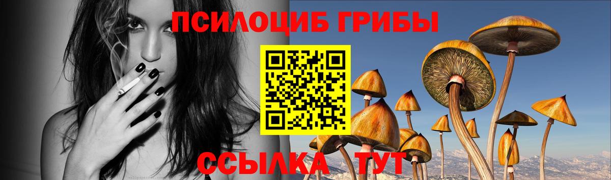 Тимашёвск  Псилоцибиновые грибы Psilocybe  Псилоцибиновые грибы ЛСД  Вход с VPN 
